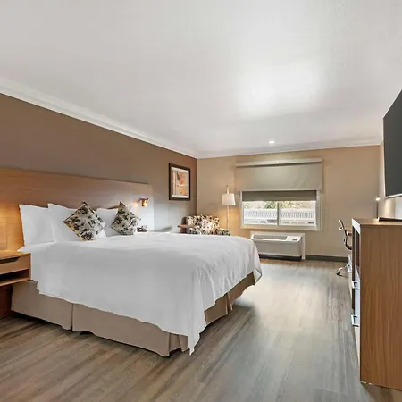 Best Western Plus Newport Mesa Inn Costa Mesa Exterior photo