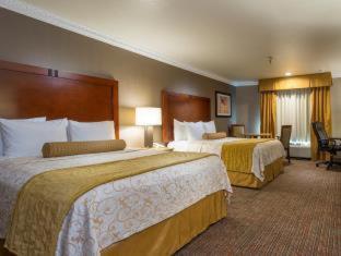 Western Newport Mesa 3*